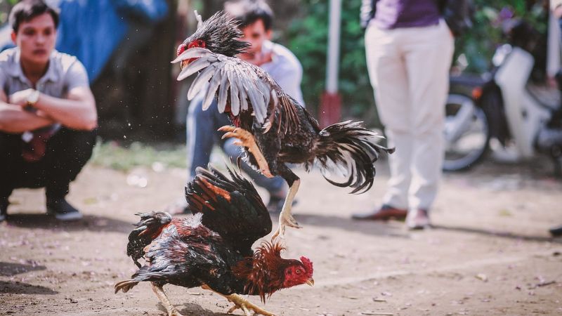 Hỗ trợ khách hàng chuyên nghiệp và tận tâm tại VVVWin